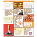 Quitting for Good Laminated Poster